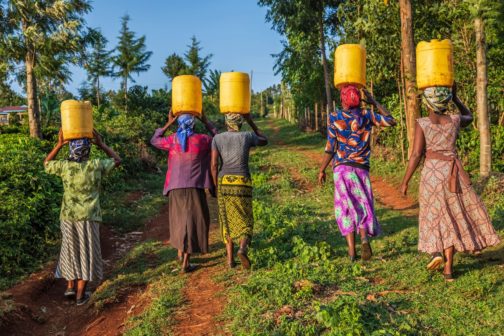 African women carrying water, Kenya, East Africa African women carrying water, Kenya, East Africa